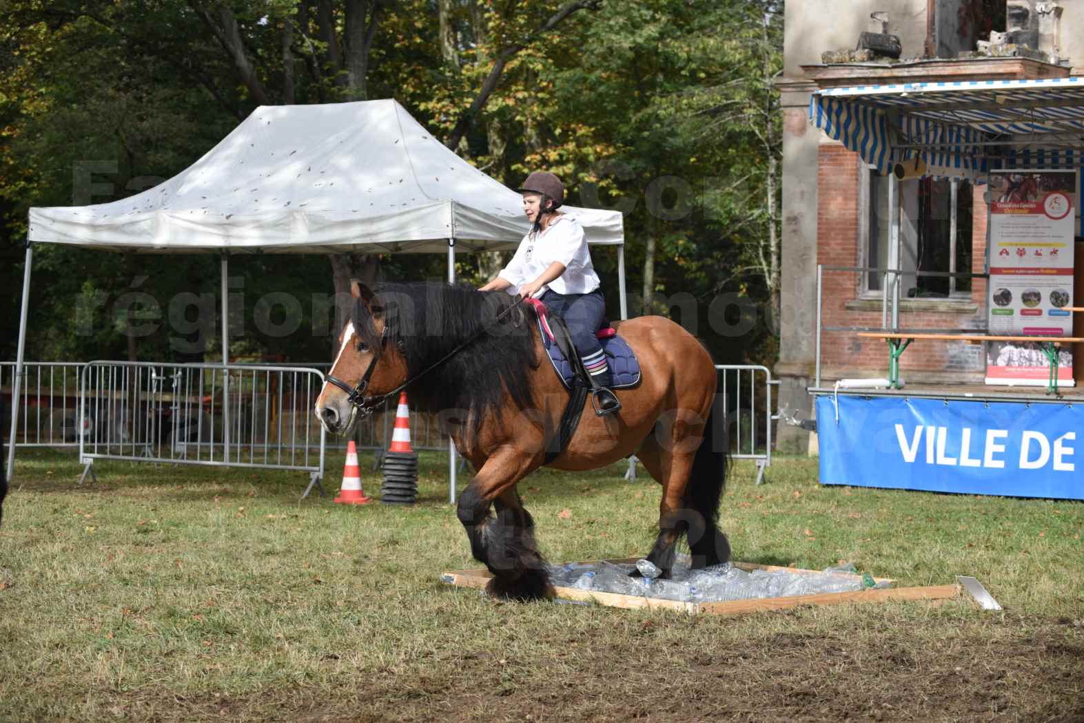 Concours Label Cheval Loisir 2017 - Cheval monté - QUIQUINOU - 05