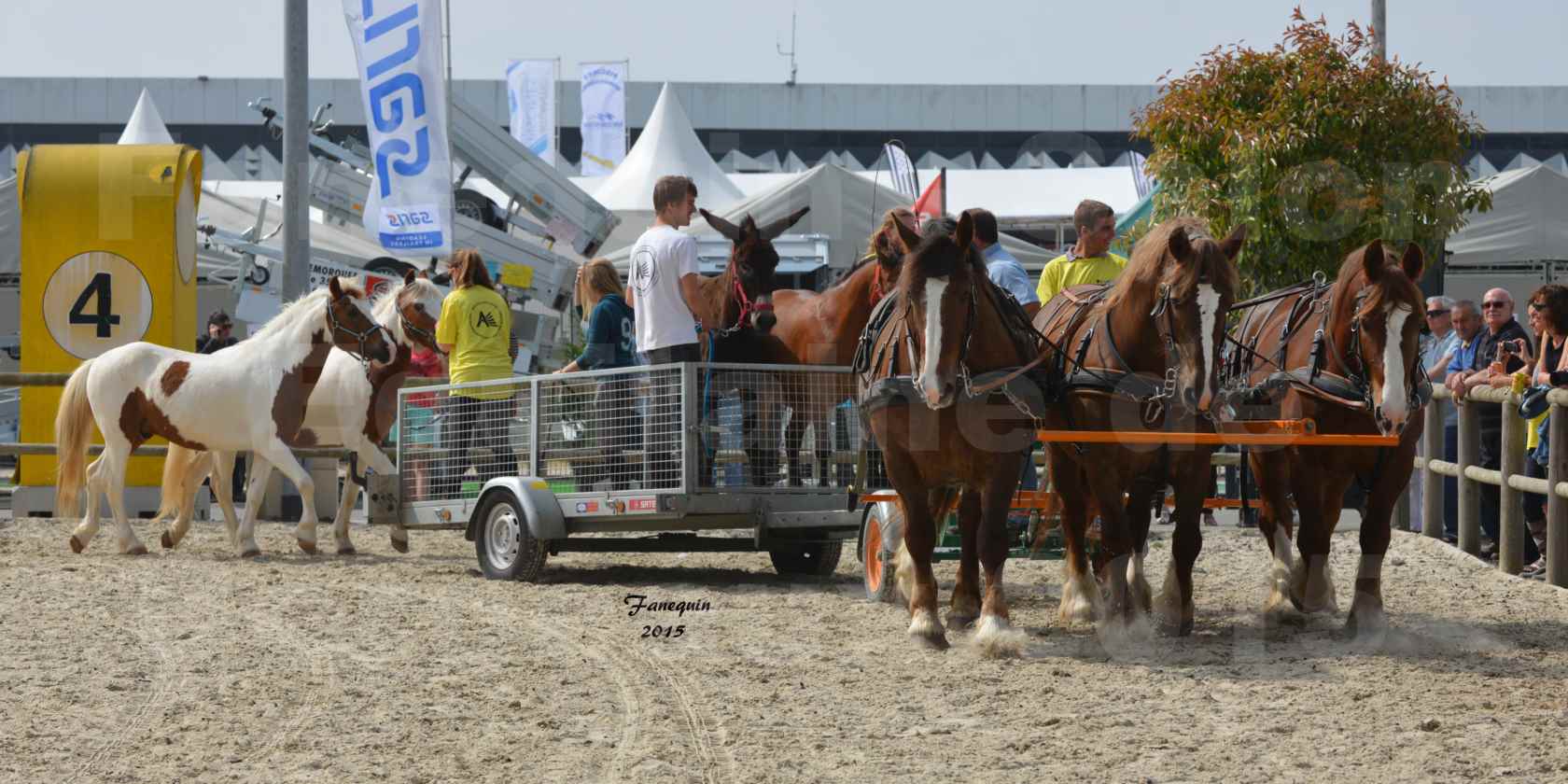 Salon Equitaine de Bordeaux 2015 - Démonstration d'attelage à 3 chevaux de front - 09