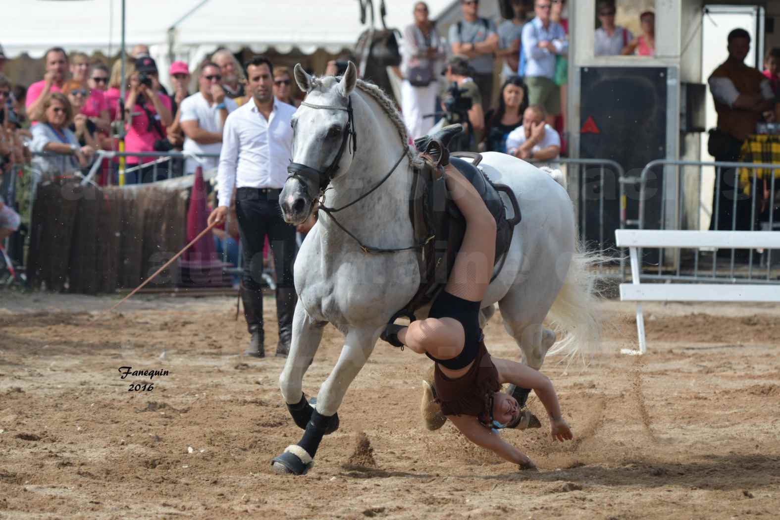 Spectacle équestre le 3 Septembre 2016 au Domaine de GAILLAC - voltige équestre avec la famille HASTALUEGO - 03