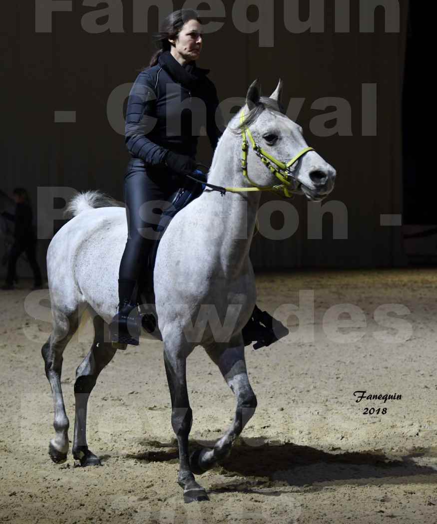 Cheval passion 2018 - Show des éleveurs - Chevaux ARABES - Notre Sélection - 02