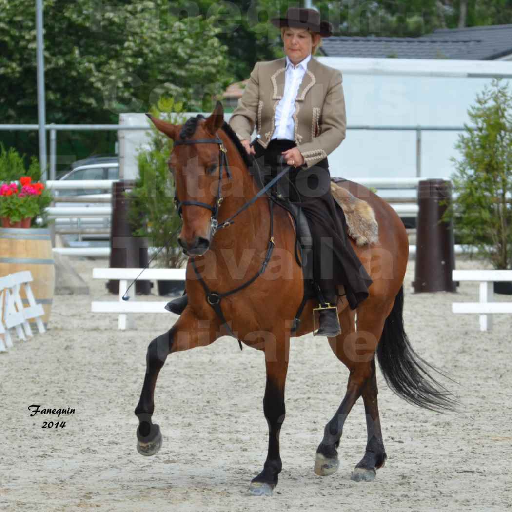 Salon Equitaine de Bordeaux en 2014 - concours Equitation de travail - Épreuve de Dressage - 3