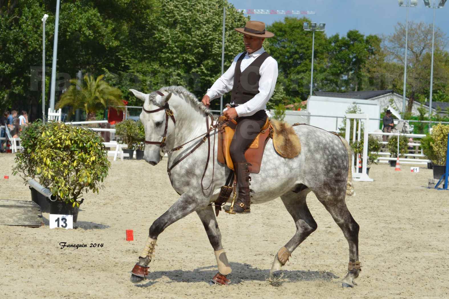 Salon Equitaine de Bordeaux en 2014 - concours Equitation de travail - Épreuve de Maniabilité chronométré - P - 15