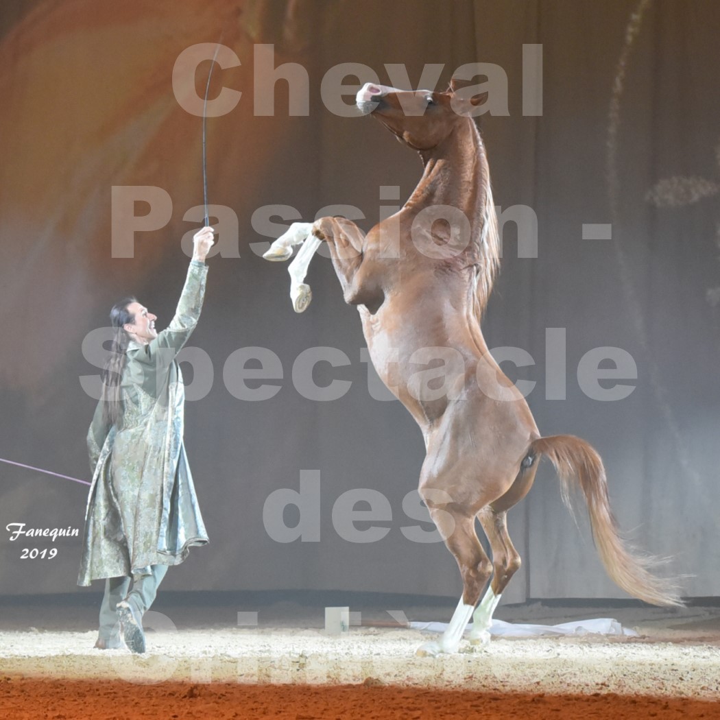Cheval Passion 2019 - Spectacle des CRINIÈRES d'OR - Frédéric PIGNON & Cheval Alezan en liberté - 07