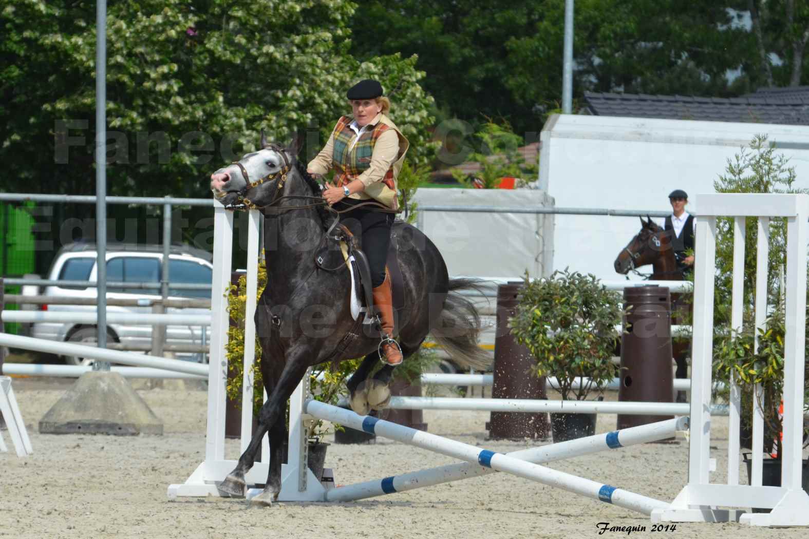 Salon Equitaine de Bordeaux en 2014 - concours Equitation de travail - Épreuve de Maniabilité chronométré - F - 10