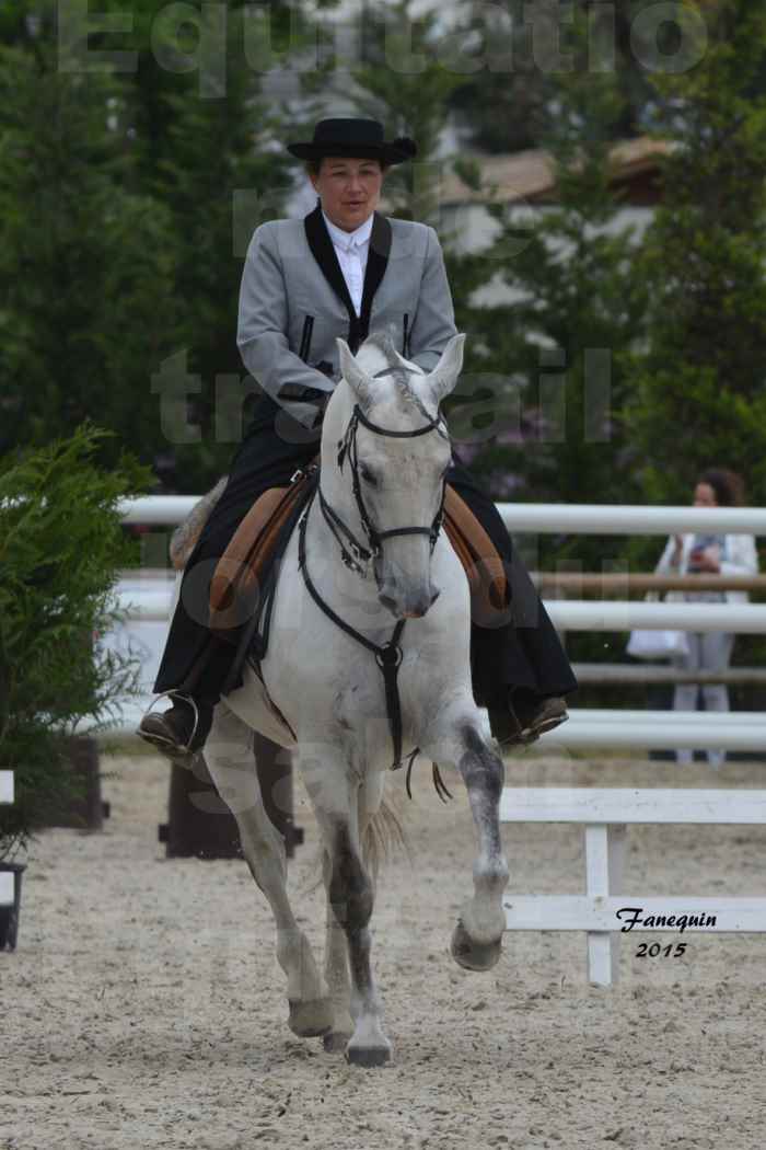 Salon Equitaine de Bordeaux 2015 - Concours d'Equitation de Travail avec chevaux Ibériques - V - 15