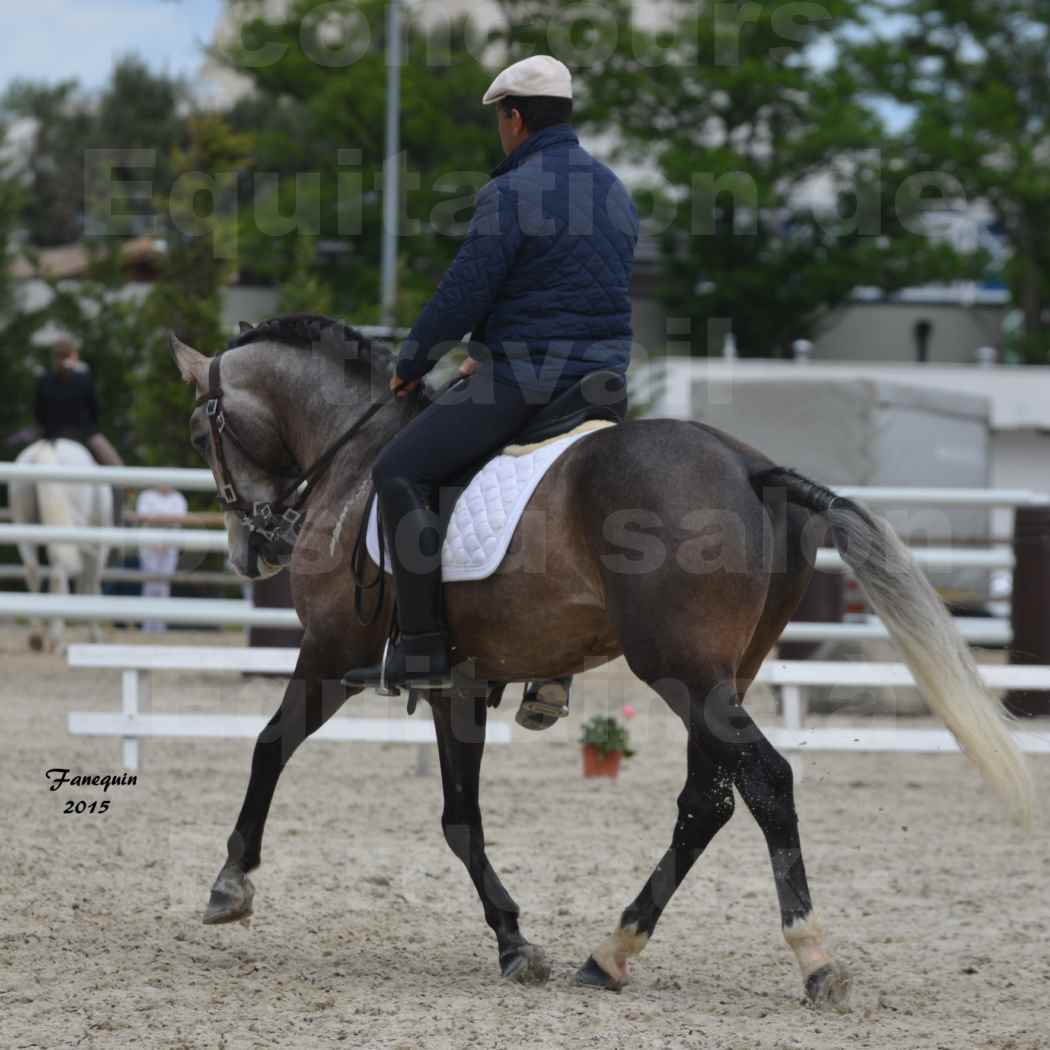 Salon Equitaine de Bordeaux 2015 - Concours d'Equitation de Travail avec chevaux Ibériques - L - 02