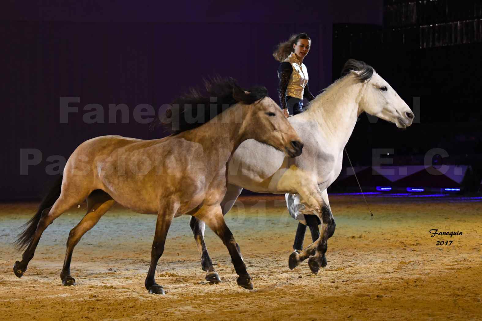 Cheval Passion 2017 - M. I. S. E. C. - Lucie VAUTHIER & 3 chevaux en liberté - 03