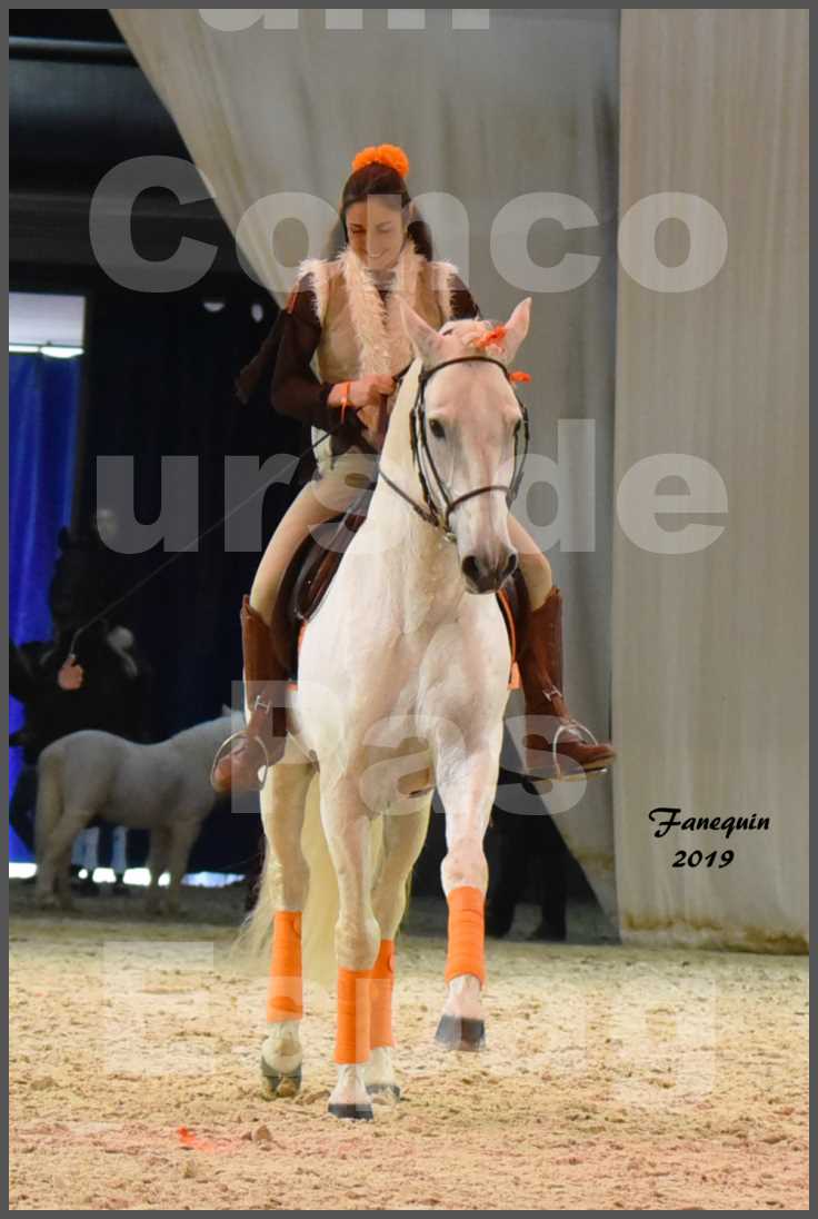 Cheval Passion 2019 - Concours de Pas Espagnol - Étalon "ZIDANE" - 57