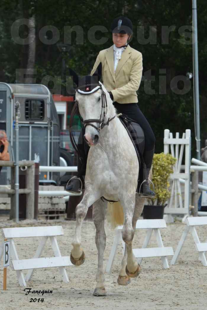 Salon Equitaine de Bordeaux en 2014 - concours Equitation de travail - Épreuve de Dressage - 11