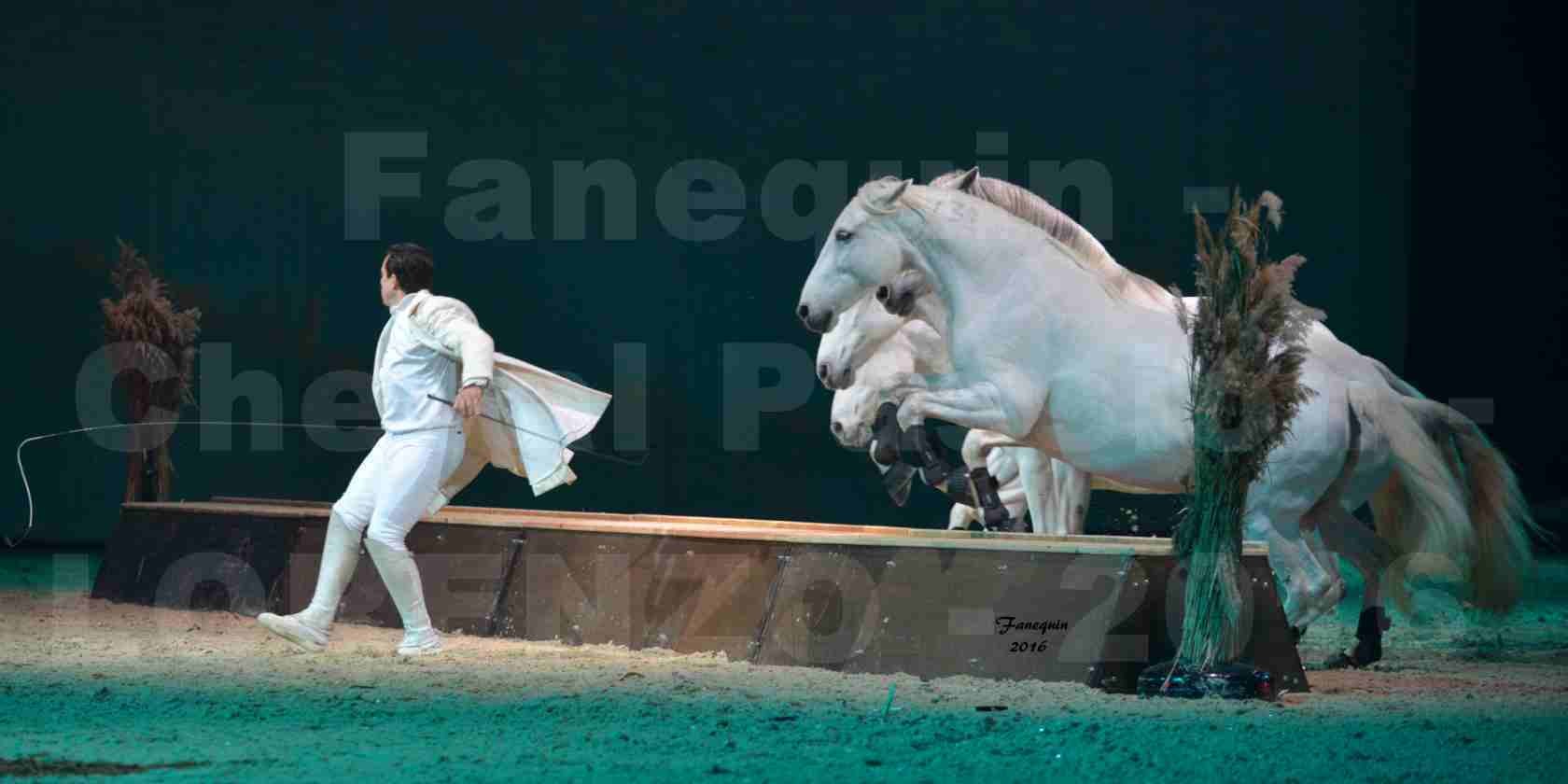 Cheval Passion 2016 - Spectacle les Crinières d'OR - LORENZO "Blanc" - représentation du 23 janvier 2016 - 16