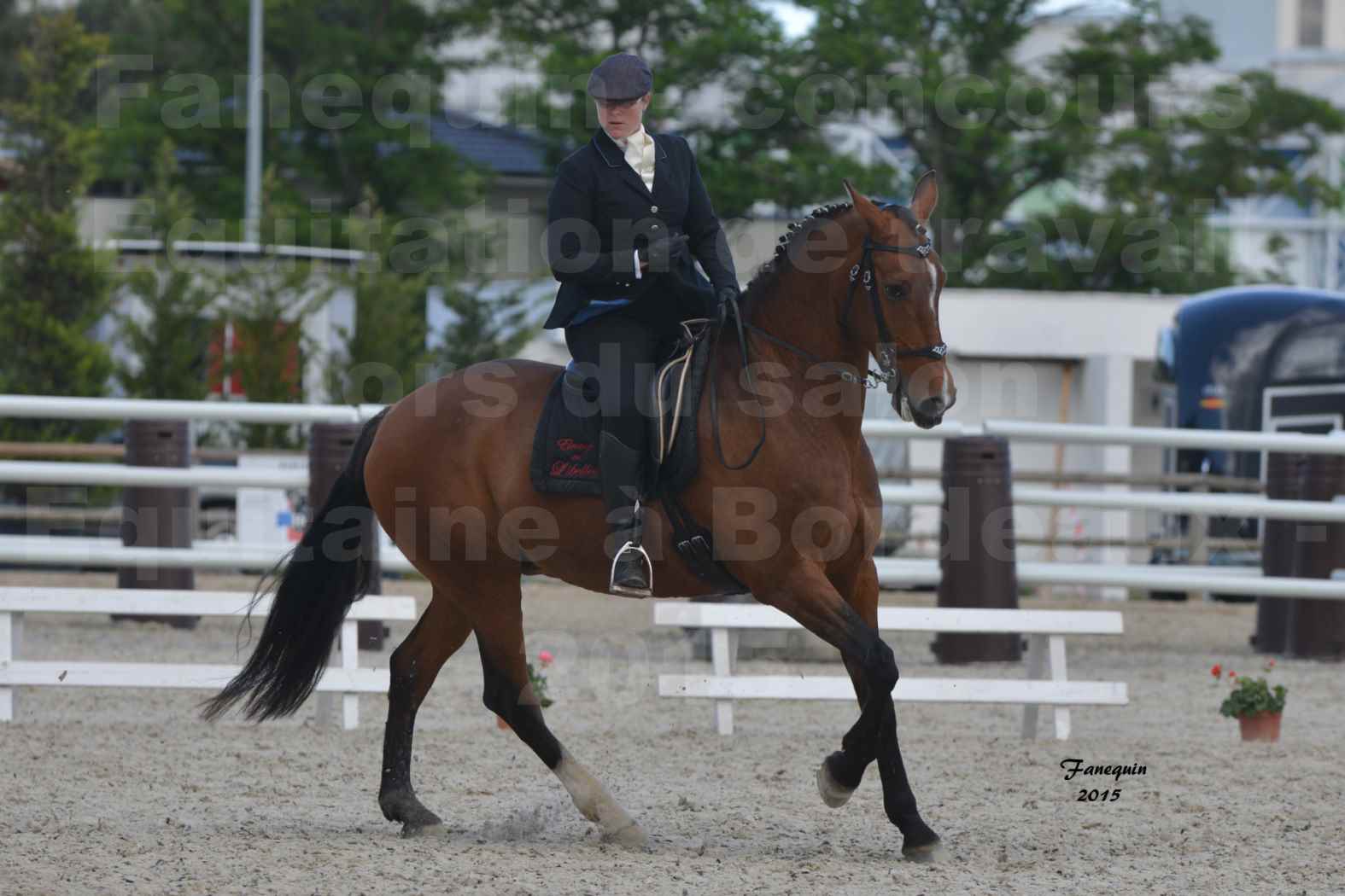 Salon Equitaine de Bordeaux 2015 - Concours d'Equitation de Travail avec chevaux Ibériques - E - 10
