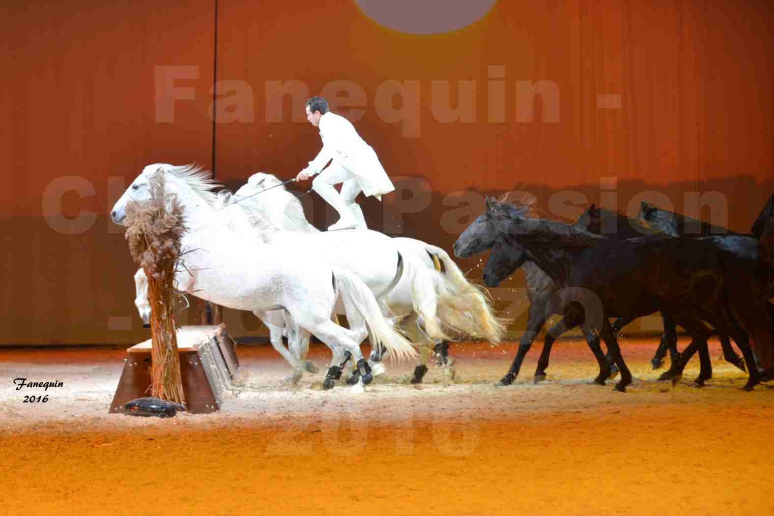 Cheval Passion 2016 - Spectacle les Crinières d'OR - LORENZO "Blanc" - représentation du 20 janvier 2016 - 37