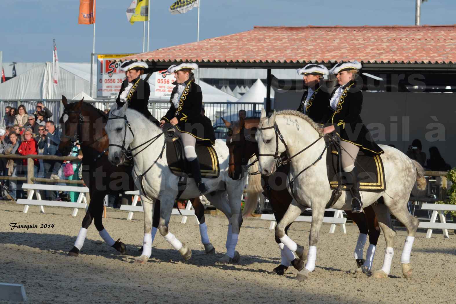 Carrousel de cavalières Equitation de travail lors du salon "Equitaine" à Bordeaux en 2014 - 33