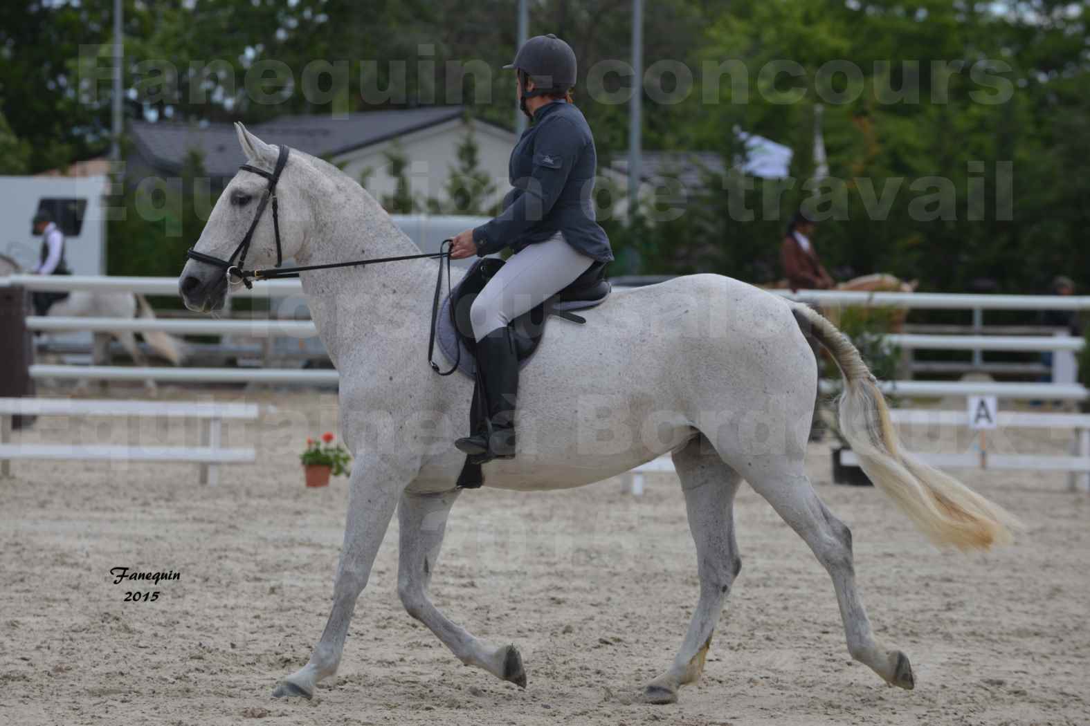Salon Equitaine de Bordeaux 2015 - Concours d'Equitation de Travail avec chevaux Ibériques - U - 1