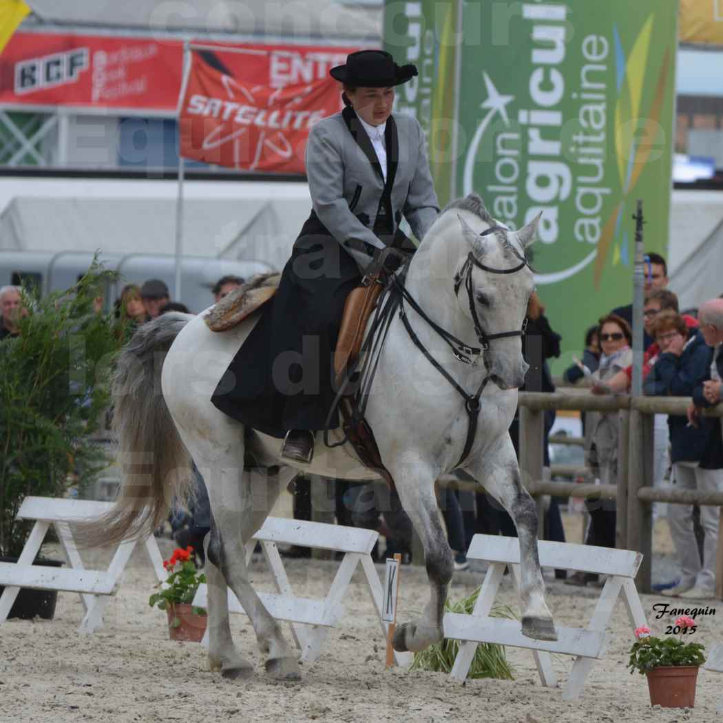 Salon Equitaine de Bordeaux 2015 - Concours d'Equitation de Travail avec chevaux Ibériques - V - 14