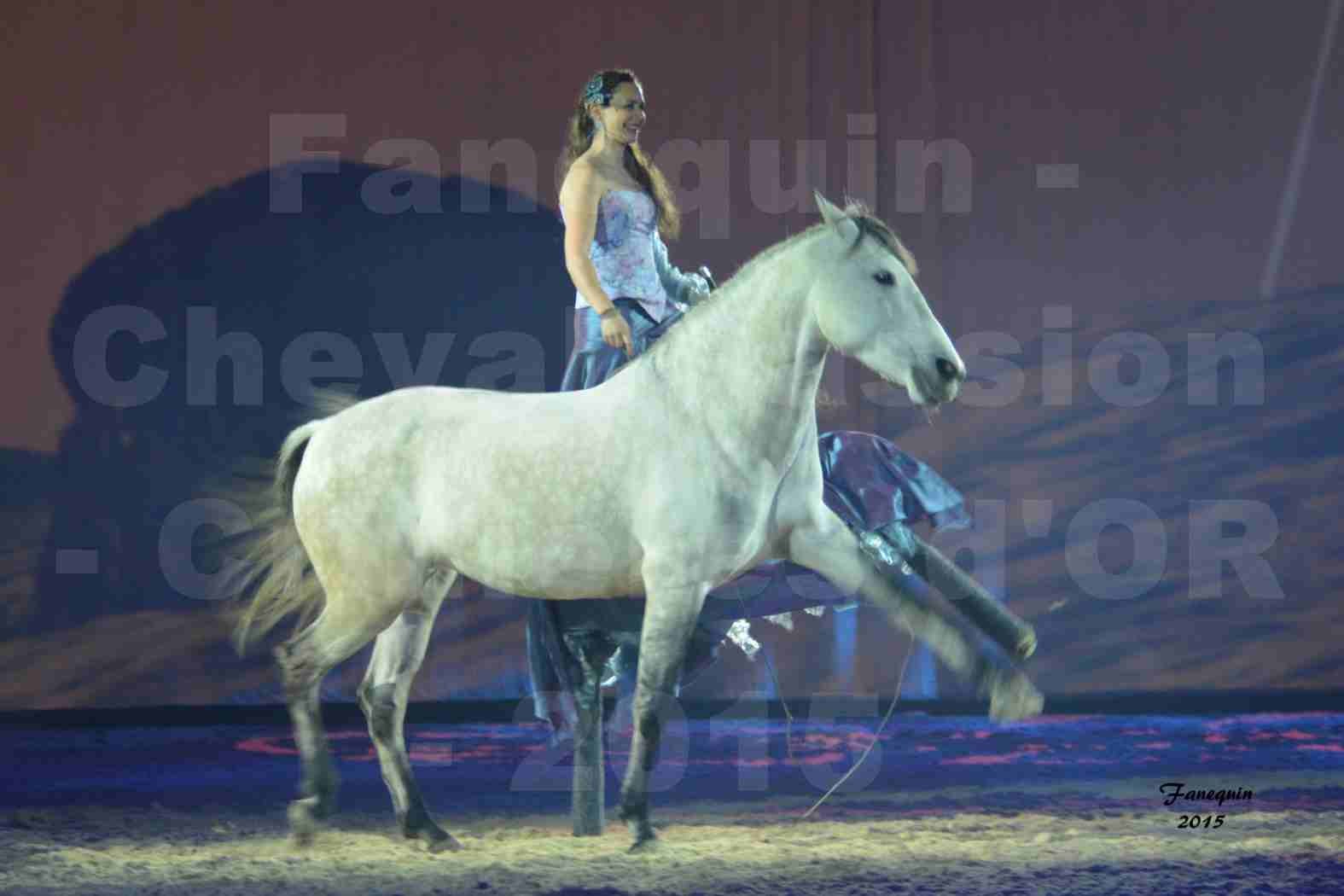 Cheval Passion 2015 - Spectacle des Crinières d'OR - Lucie VAUTHIER & 2 chevaux en liberté - 07