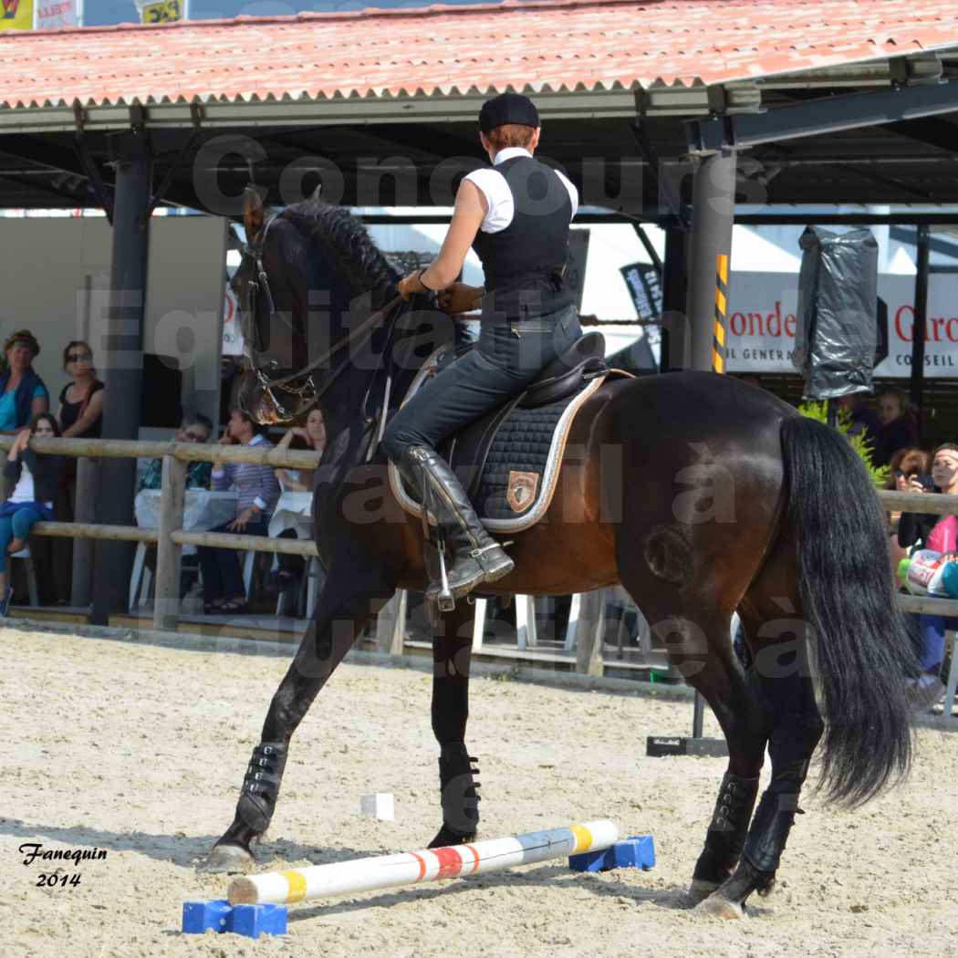 Salon Equitaine de Bordeaux en 2014 - concours Equitation de travail - Épreuve de Maniabilité chronométré - M - 08