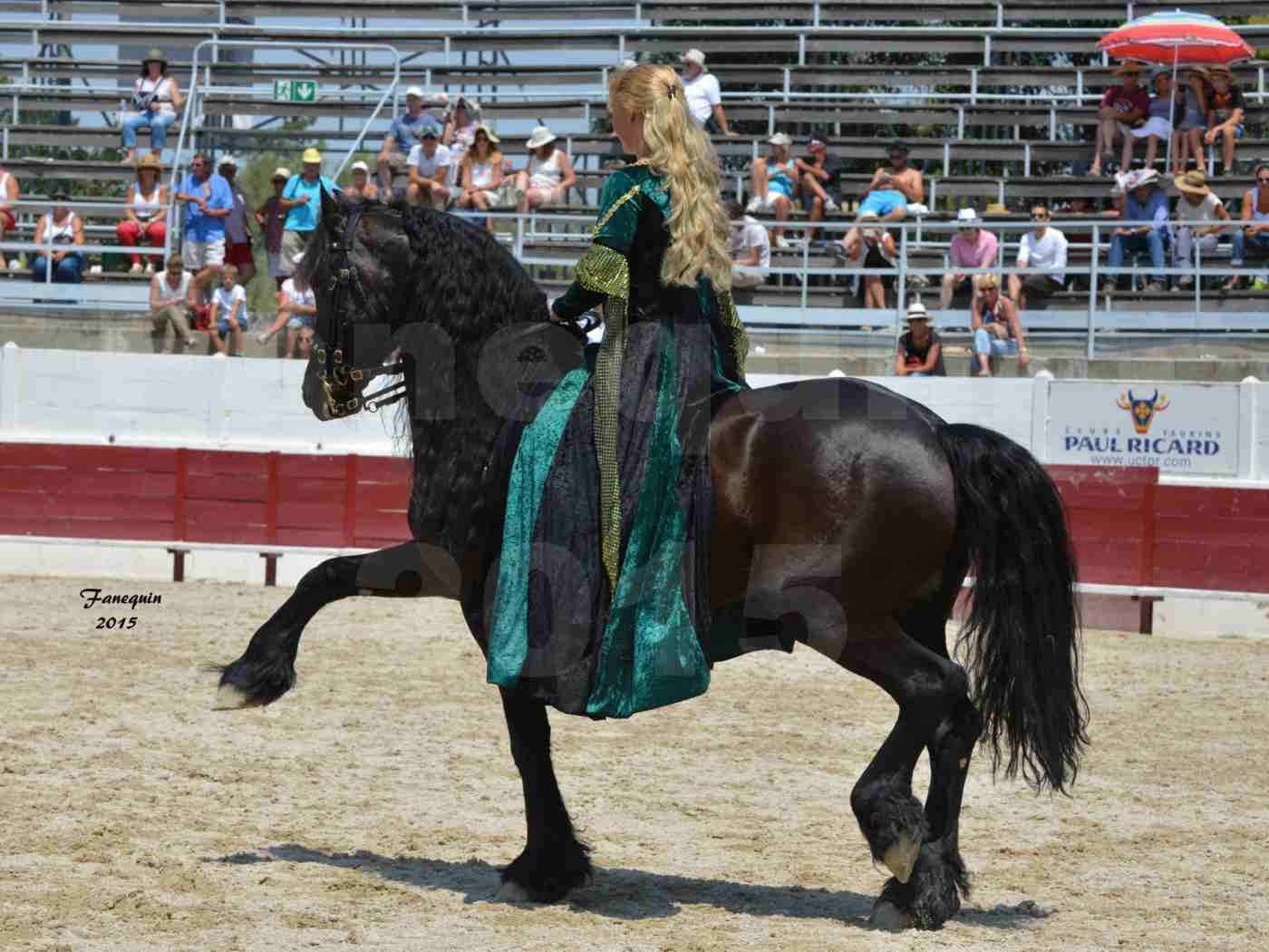 Féria du cheval à Méjanes en 2015 - Sylvie WILLMS - 05