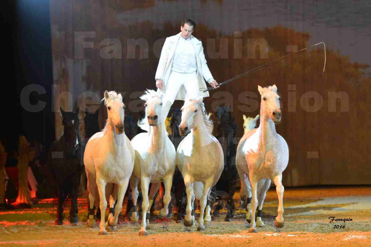 Cheval Passion 2016 - Spectacle les Crinières d'OR - LORENZO "Blanc" - représentation du 23 janvier 2016 - 33