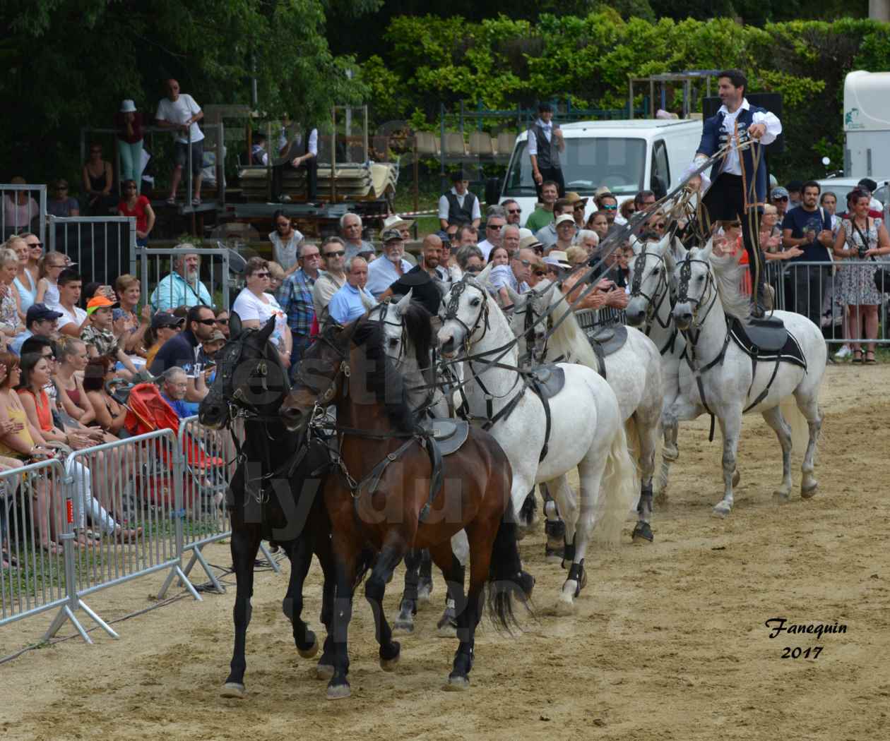 numéro de Poste HONGROISE avec 8 chevaux - Compagnie IMPULSION - Salon Pêche Chasse Nature à Saint Gély du Fesc juin 2017 - 06