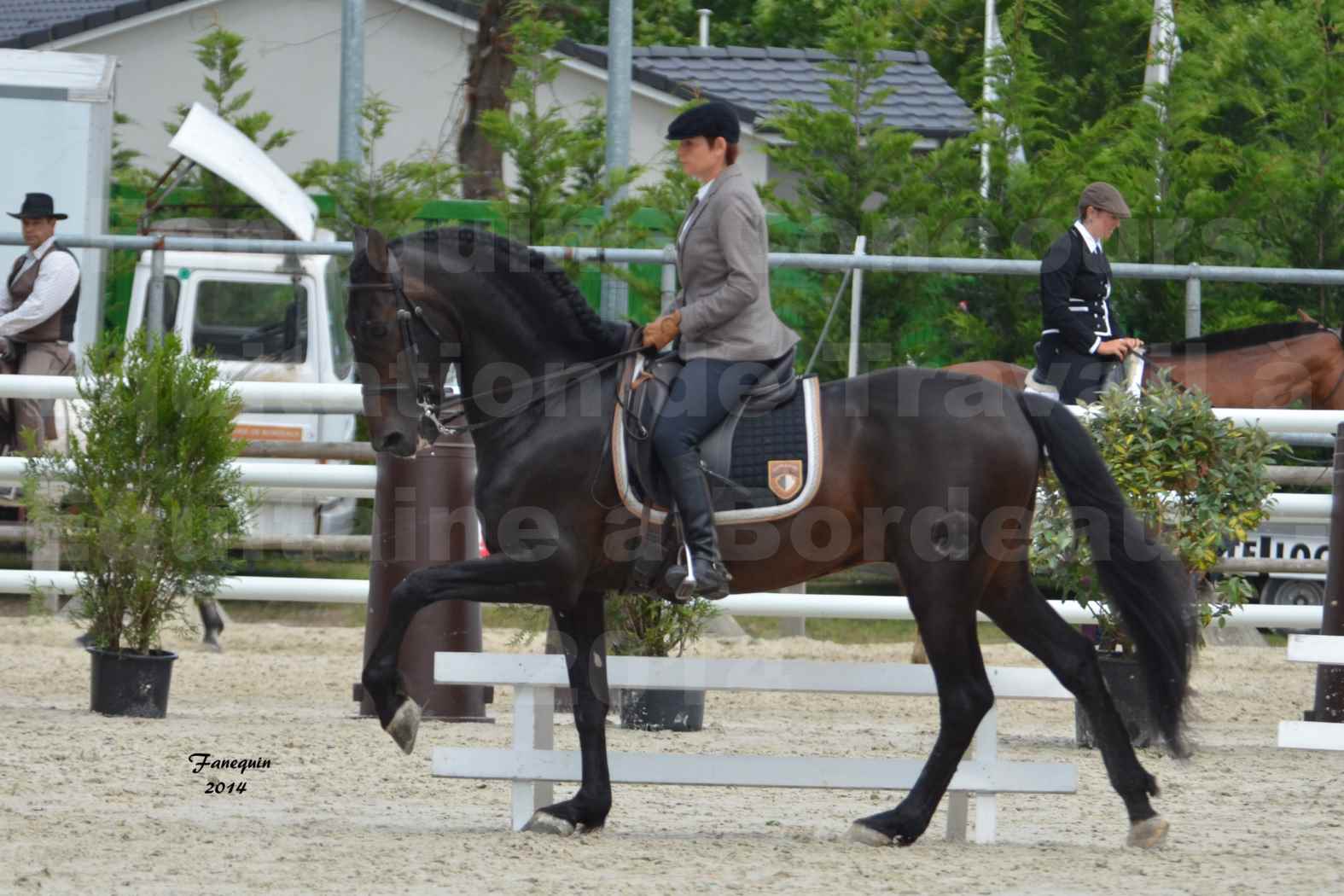 Salon Equitaine de Bordeaux en 2014 - concours Equitation de travail - Épreuve de Dressage - 11