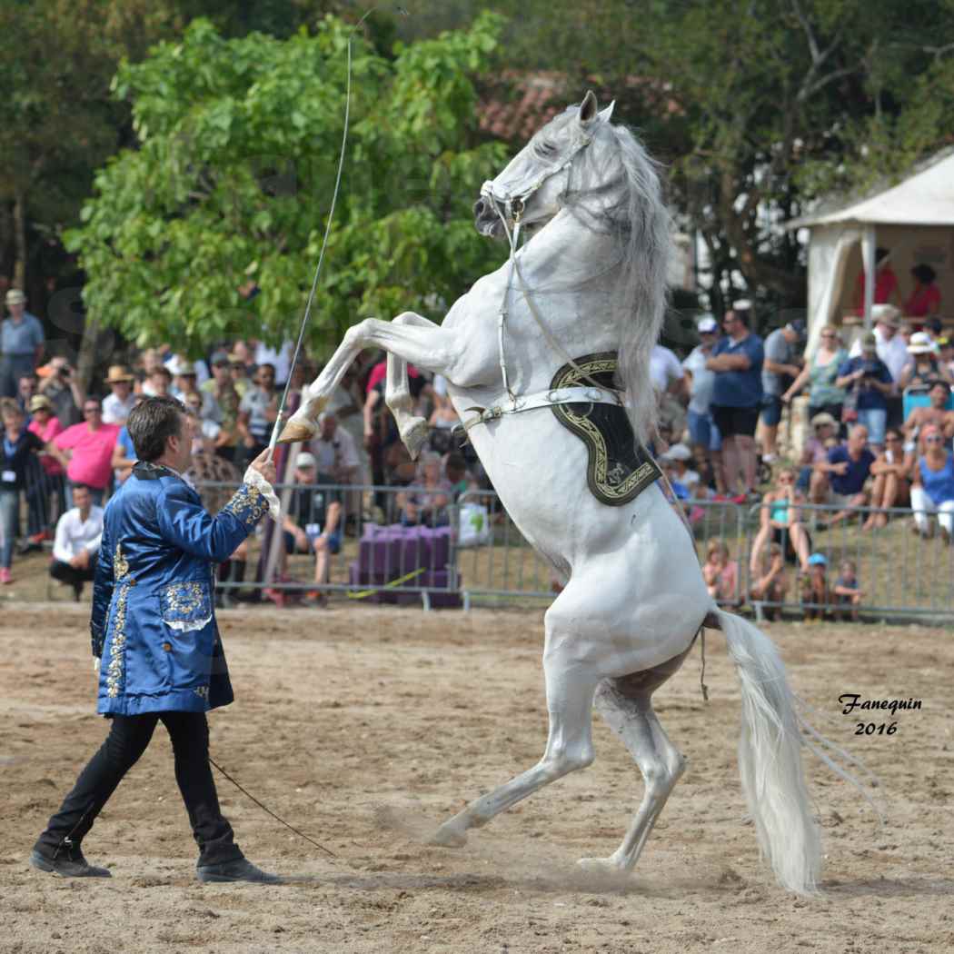 Spectacle équestre le 3 Septembre 2016 au Domaine de GAILLAC - Haute école avec la famille HASTALUEGO - 03