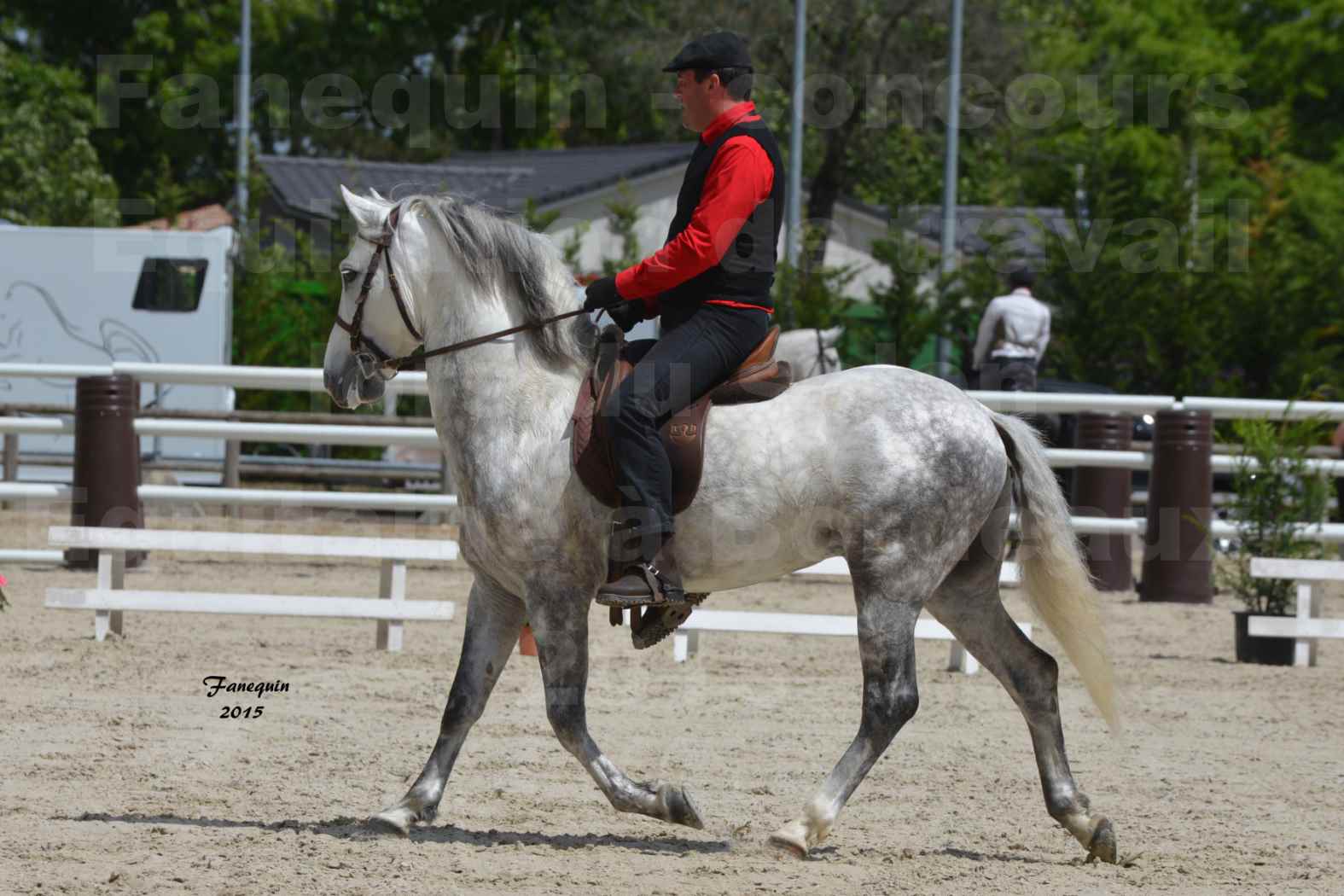 Salon Equitaine de Bordeaux 2015 - Concours d'Equitation de Travail avec chevaux Ibériques - Q - 2