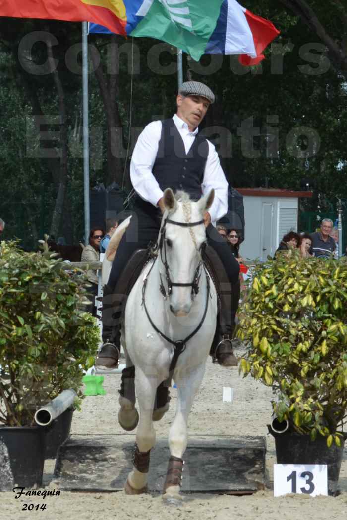 Salon Equitaine de Bordeaux en 2014 - concours Equitation de travail - Épreuve de Maniabilité chronométré - H - 15