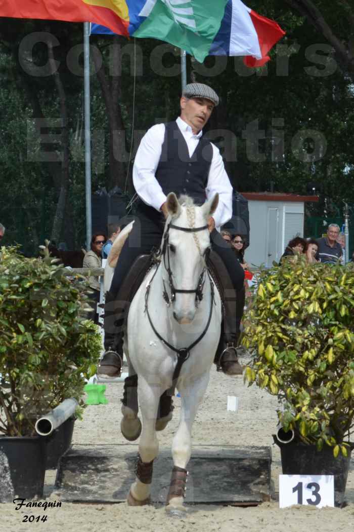 Salon Equitaine de Bordeaux en 2014 - concours Equitation de travail - Épreuve de Maniabilité chronométré - H - 15