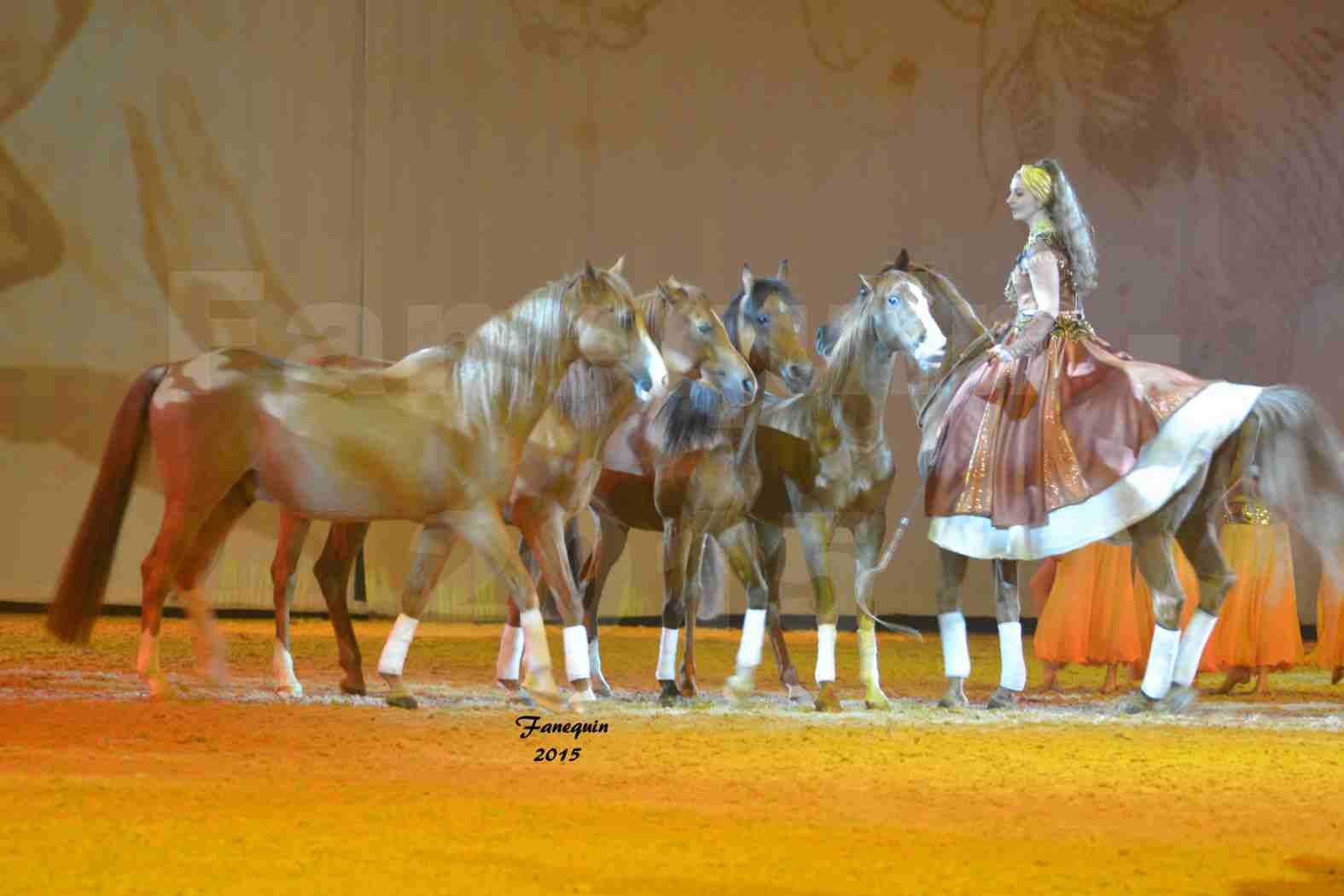 Cheval Passion 2015 - Les Crinières d'OR - Sylvie WILLMS - 09