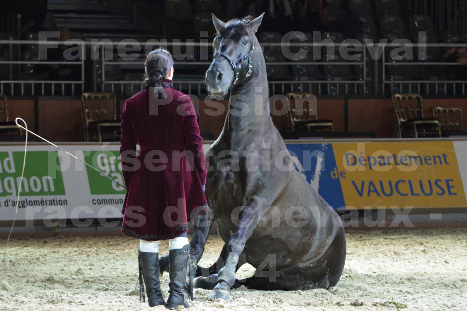 Cheval Passion 2014 - Frédériq VIGNE - Notre Sélection - 23