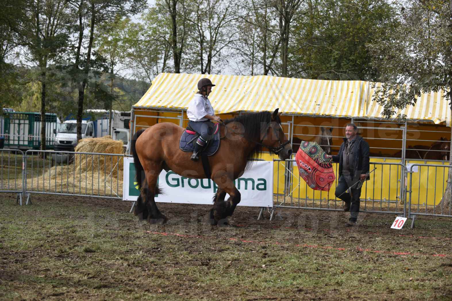 Concours Label Cheval Loisir 2017 - Cheval monté - QUIQUINOU - 09