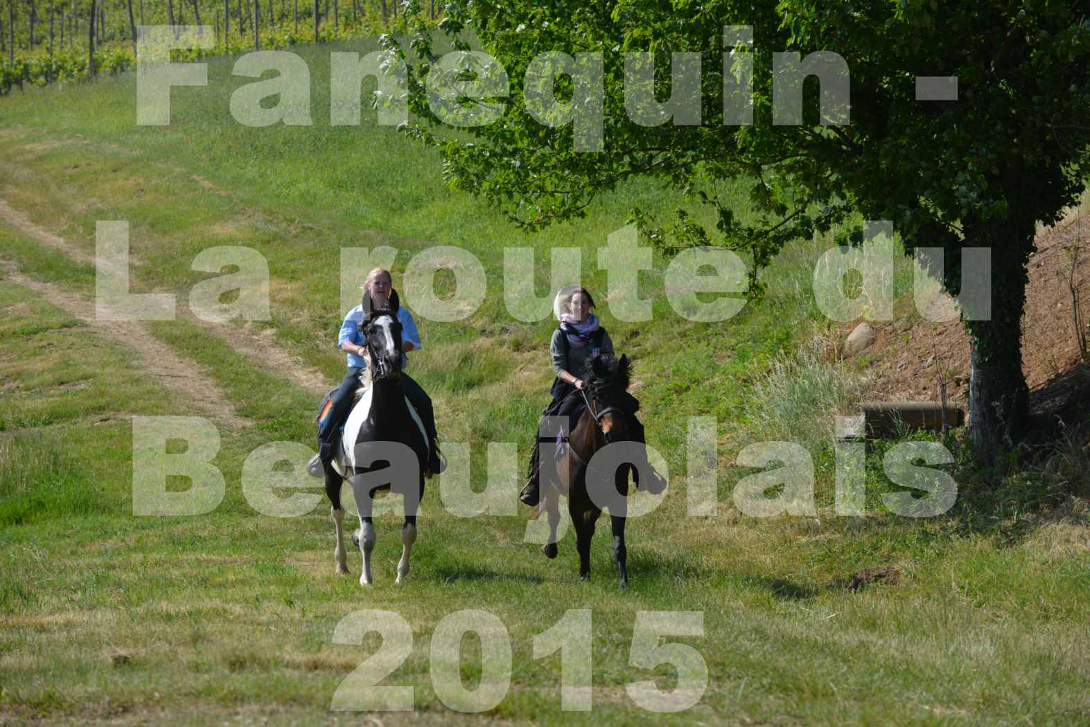 La Route Du Beaujolais 2015 - dimanche 24 mai 2015 - parcours en matinée - 45