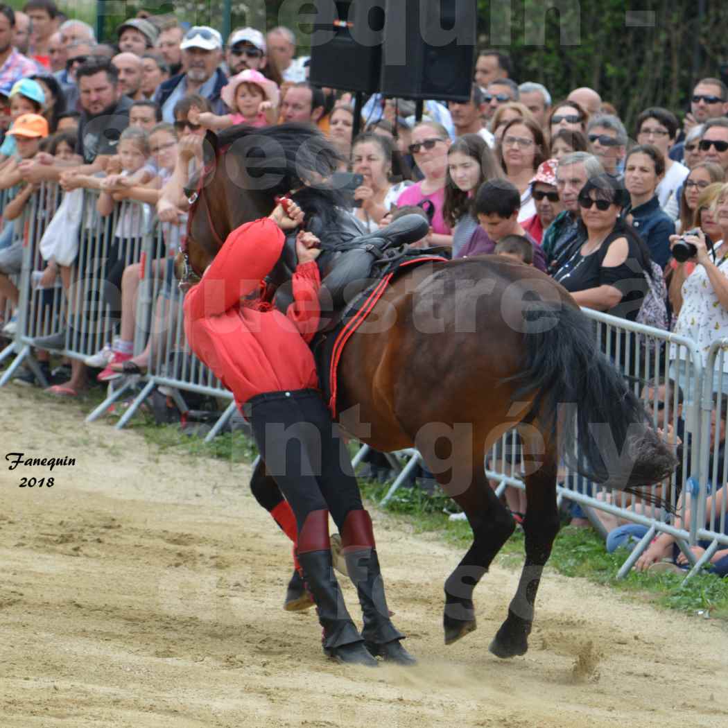 Spectacle Équestre le 3 juin 2018 à Saint Gély du Fesc - Voltige équestre - Troupe de Jean Antoine FIRMIN - 76