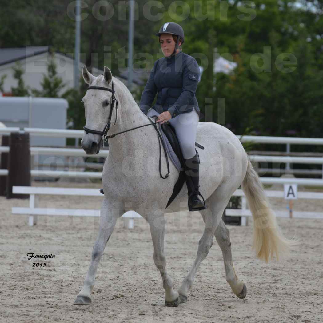Salon Equitaine de Bordeaux 2015 - Concours d'Equitation de Travail avec chevaux Ibériques - U - 2