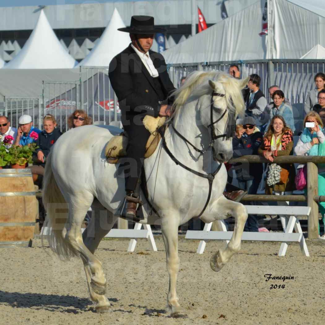 Salon Equitaine de Bordeaux en 2014 - concours Equitation de travail - Épreuve de Dressage - 05