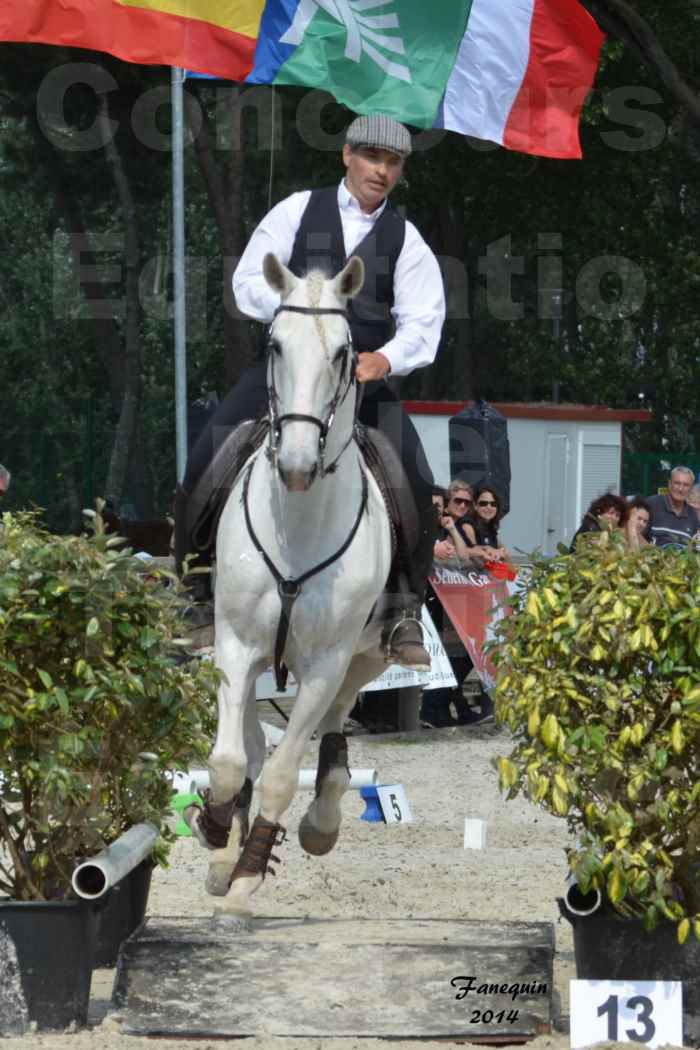 Salon Equitaine de Bordeaux en 2014 - concours Equitation de travail - Épreuve de Maniabilité chronométré - H - 12