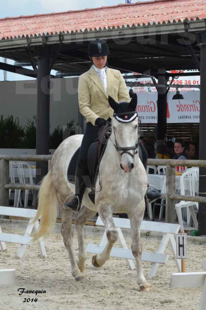 Salon Equitaine de Bordeaux en 2014 - concours Equitation de travail - Épreuve de Dressage - 14