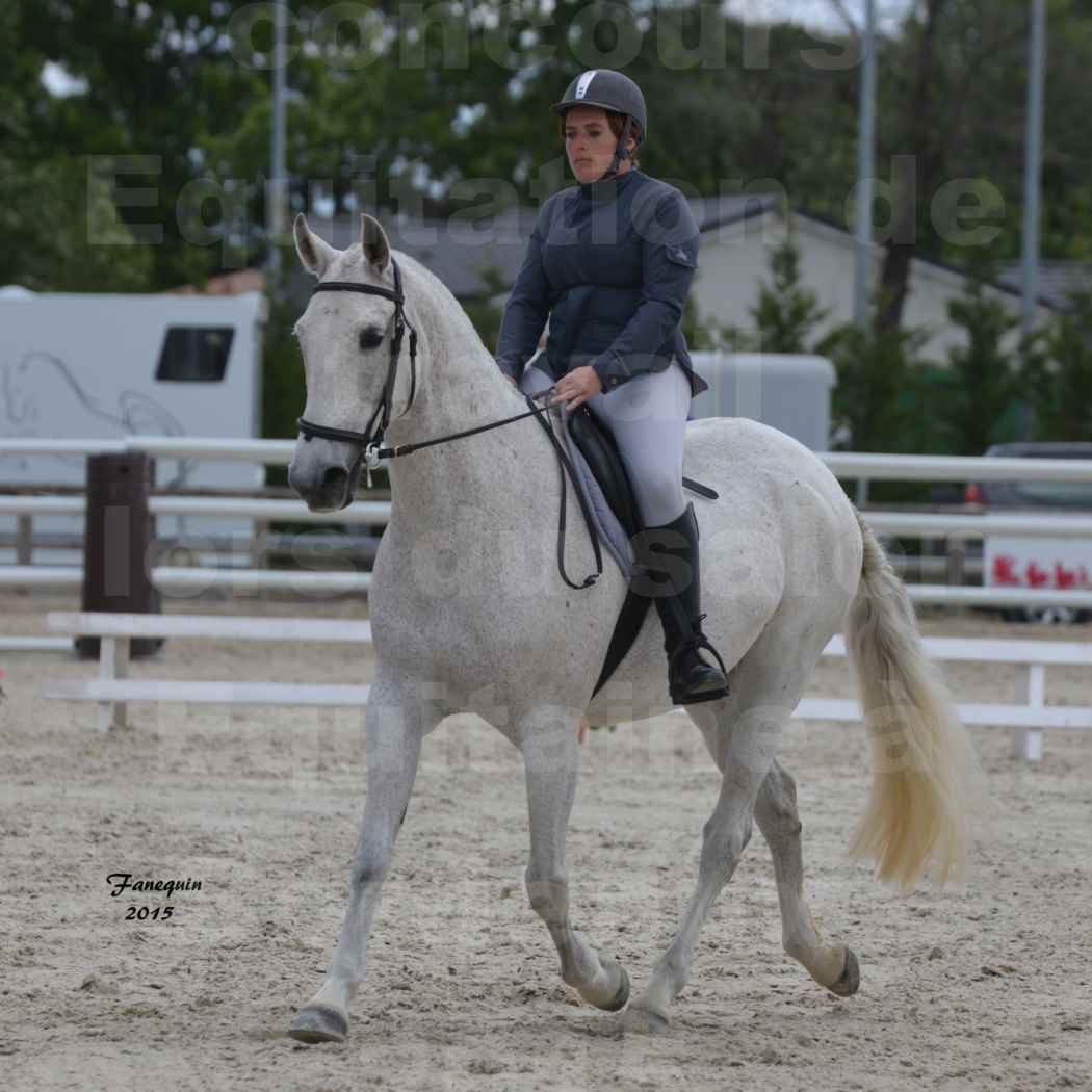 Salon Equitaine de Bordeaux 2015 - Concours d'Equitation de Travail avec chevaux Ibériques - U - 3