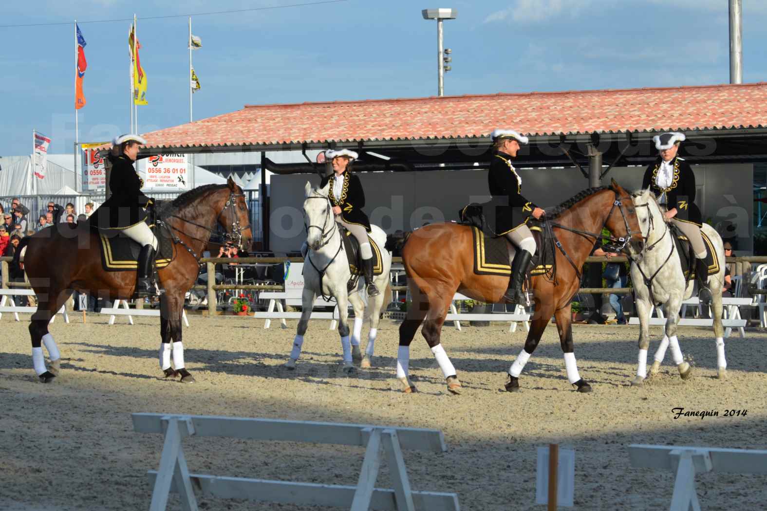 Carrousel de cavalières Equitation de travail lors du salon "Equitaine" à Bordeaux en 2014 - 08