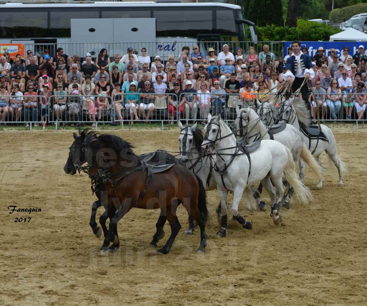 numéro de Poste HONGROISE avec 8 chevaux - Compagnie IMPULSION - Salon Pêche Chasse Nature à Saint Gély du Fesc juin 2017 - 09