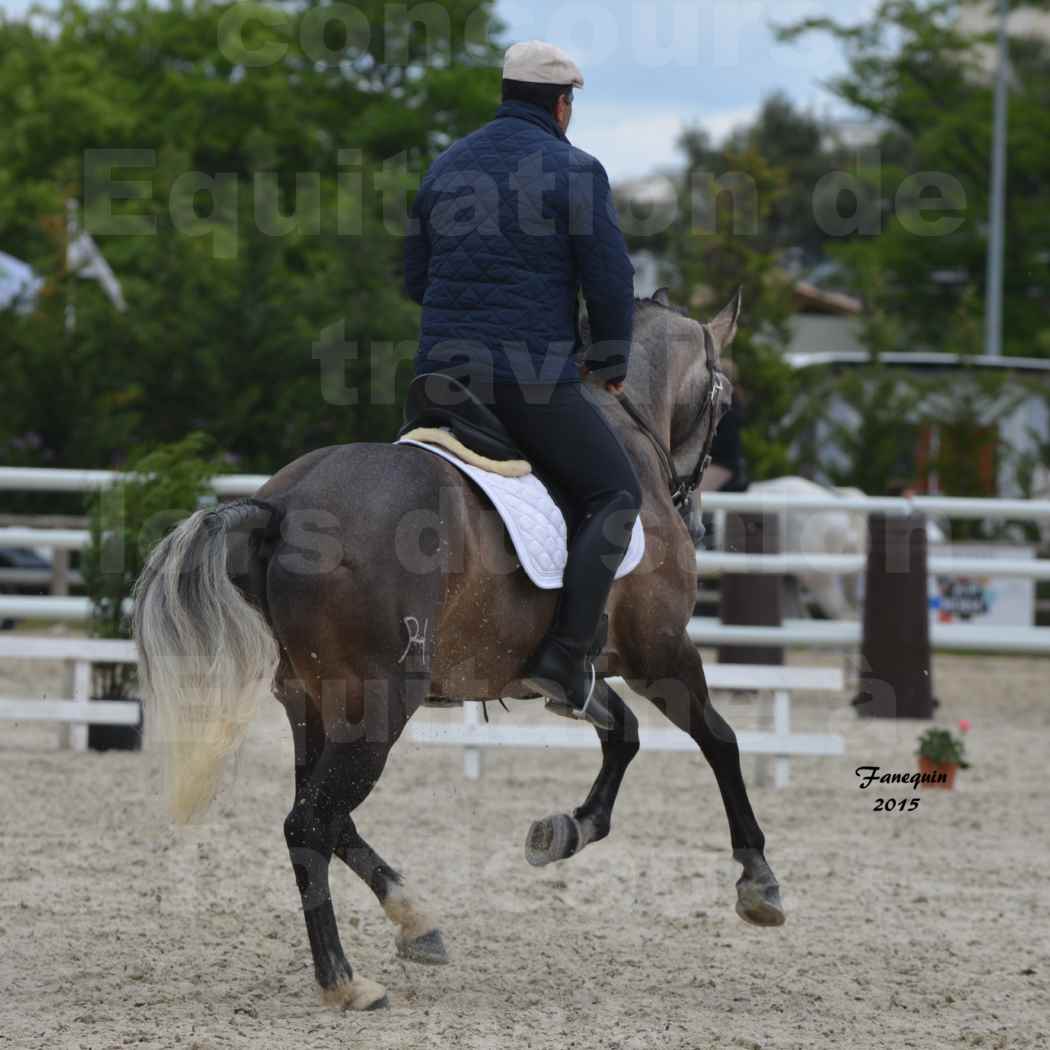 Salon Equitaine de Bordeaux 2015 - Concours d'Equitation de Travail avec chevaux Ibériques - L - 10
