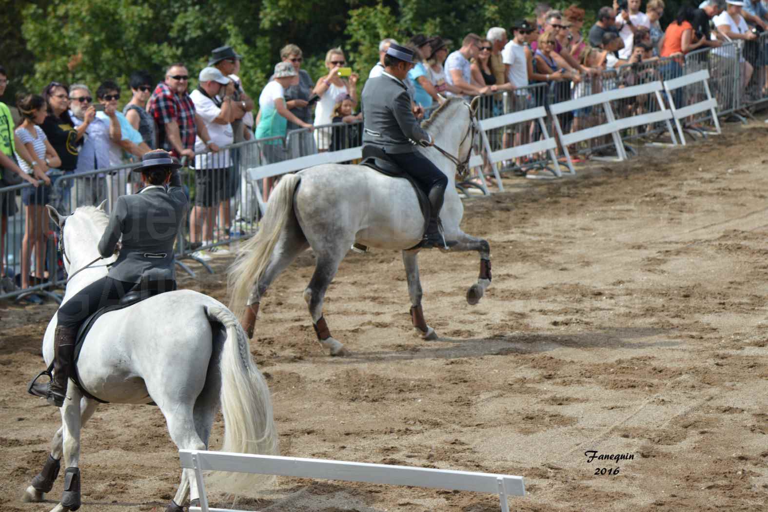 Spectacle équestre le 4 Septembre 2016 au Domaine de GAILLAC - Démonstration de CARROUSEL de chevaux LUSITANIENS - 12