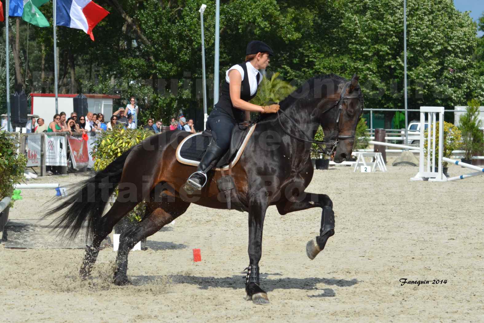 Salon Equitaine de Bordeaux en 2014 - concours Equitation de travail - Épreuve de Maniabilité chronométré - M - 22