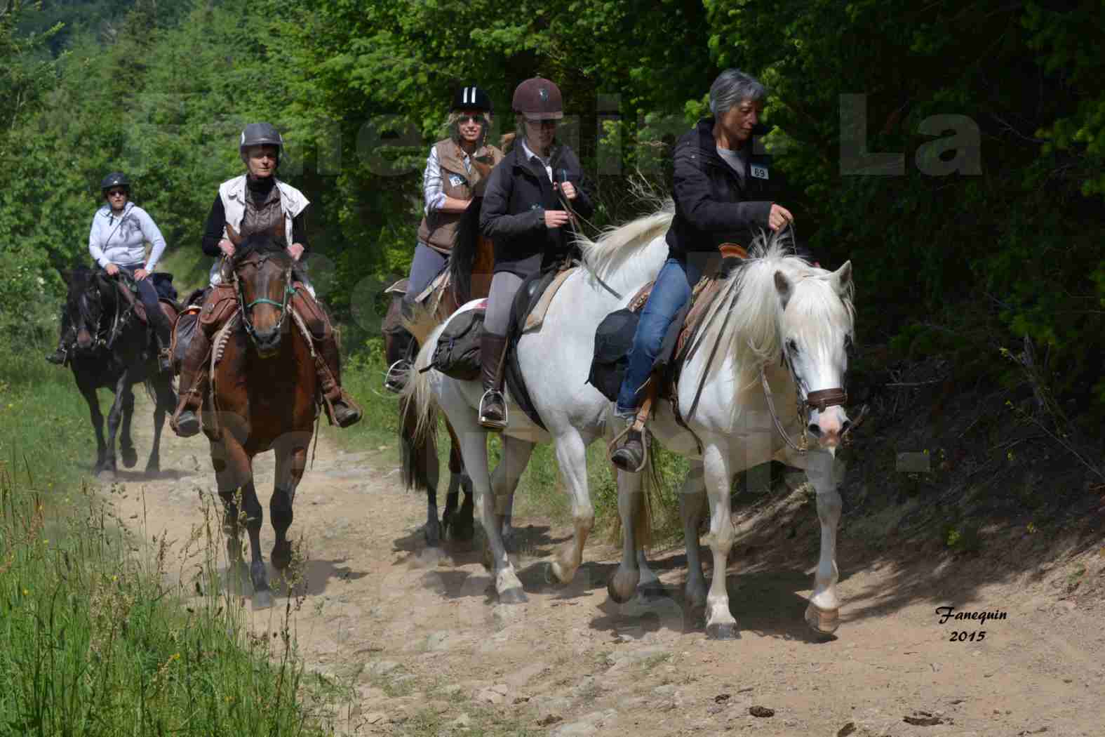 La Route Du Beaujolais 2015 - samedi 23 mai 2015 - parcours en matinée - 57