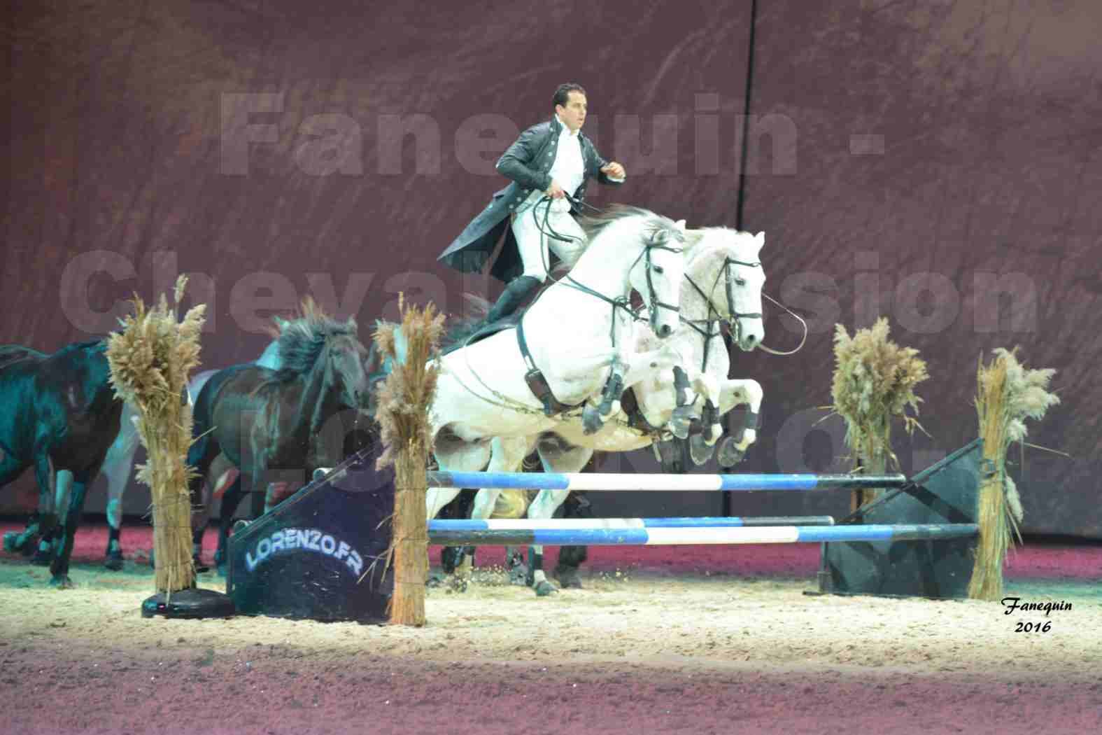 Cheval Passion 2016 - Spectacle les Crinières d'OR - LORENZO "Noir" - représentation du 20 janvier 2016 - 09