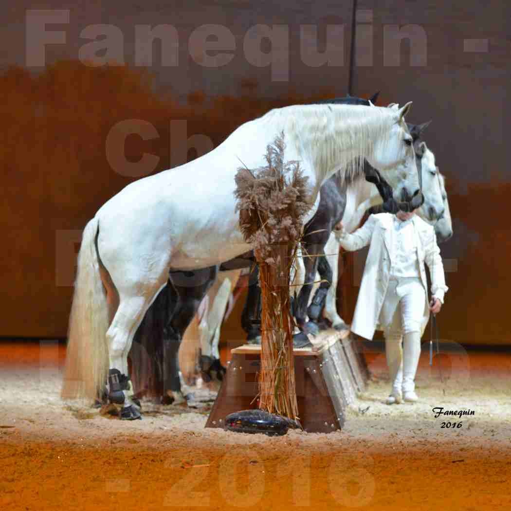 Cheval Passion 2016 - Spectacle les Crinières d'OR - LORENZO "Blanc" - représentation du 20 janvier 2016 - 44