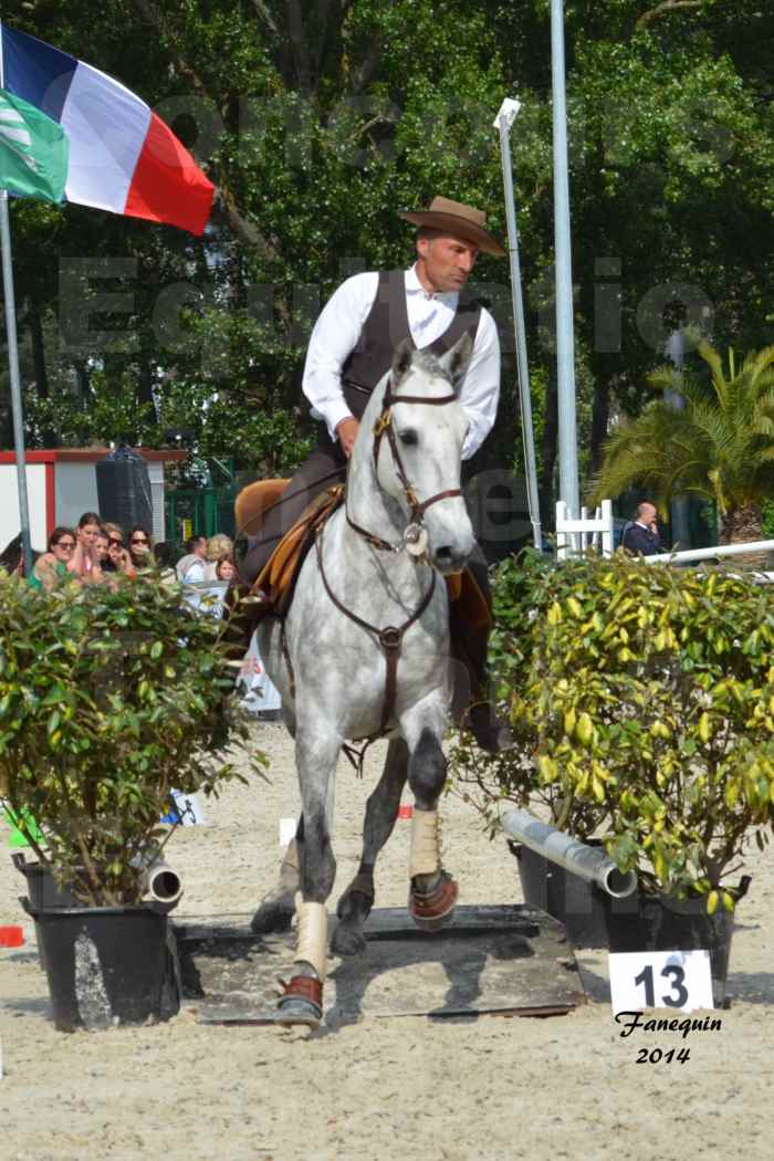 Salon Equitaine de Bordeaux en 2014 - concours Equitation de travail - Épreuve de Maniabilité chronométré - P - 41