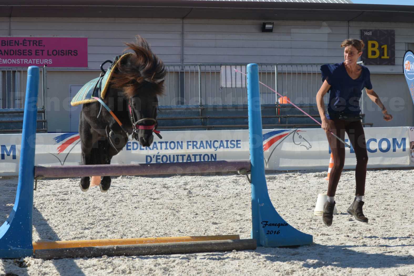 Centre équestre éphémère de la Foire de Montpellier 2016 - saut d'obstacle cavalière "clos d'Alice" - 5