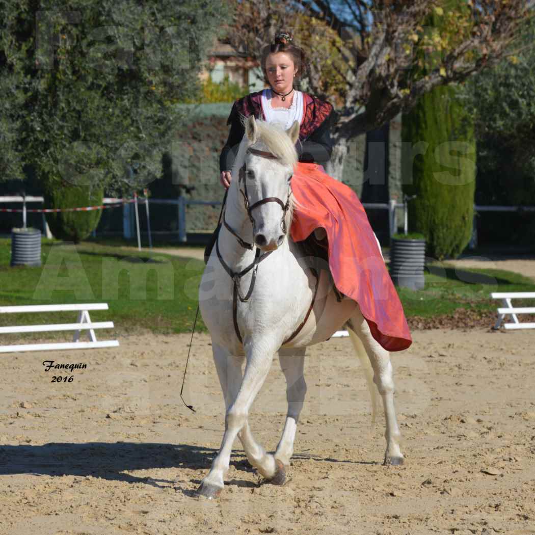 Concours Élégance d'Amazone au Haras d'UZES en Octobre 2016 - Léa CONTE - 07